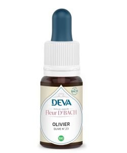 Olivier (Olive - N°23)